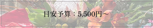 目安予算：5,500円～